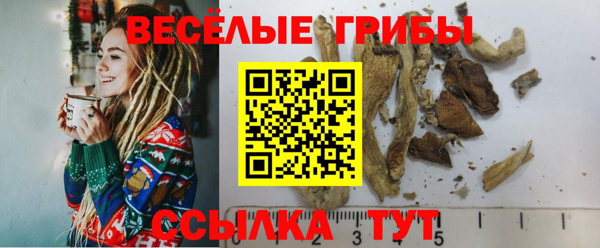 Псилоцибиновые грибы мицелий Химки