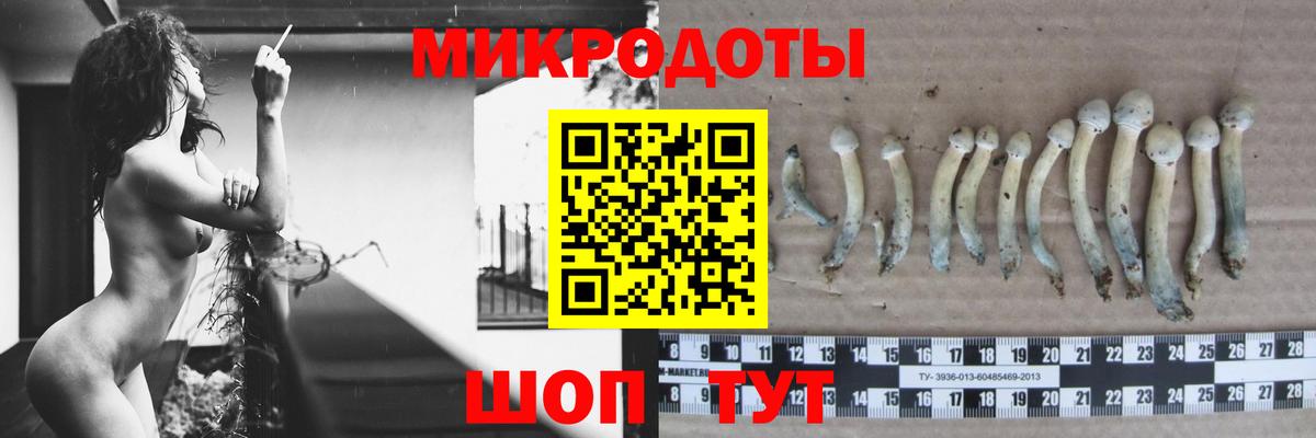 Галлюциногенные грибы Psilocybe  Вход с VPN  Псилоцибиновые грибы прущие грибы  Химки 